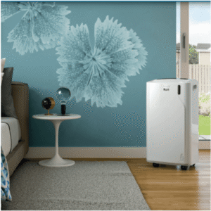 De’Longhi Pinguino EM PAC EM93K.1 Silent